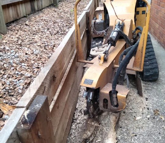 Stump Removal Near Me