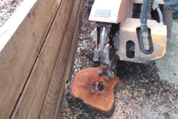 Stump Grinding Near Me