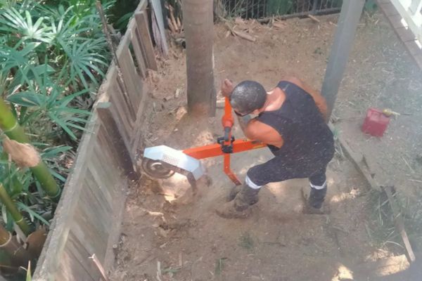 Stump Grinding Services Near Me