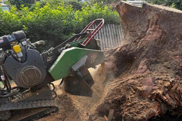 Stump Removal Near Me
