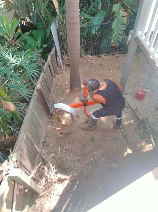 Stump Grinding Near Me