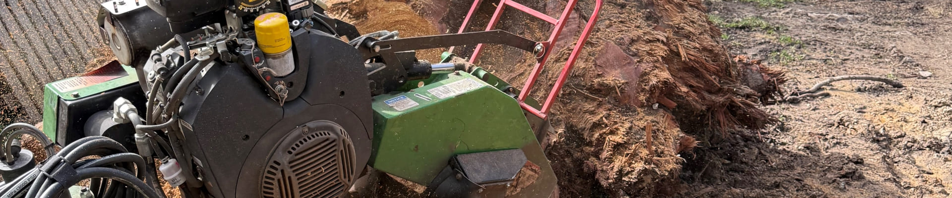 Stump Grinding Near Me