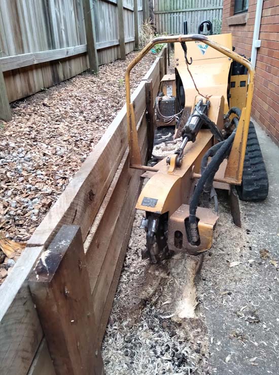 Stump Removal Near Me
