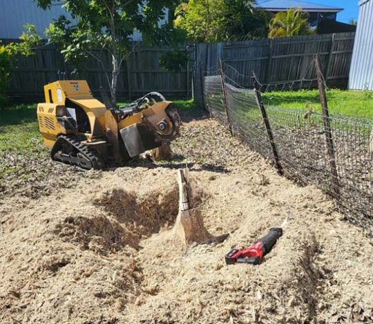 Stump Removal Near Me