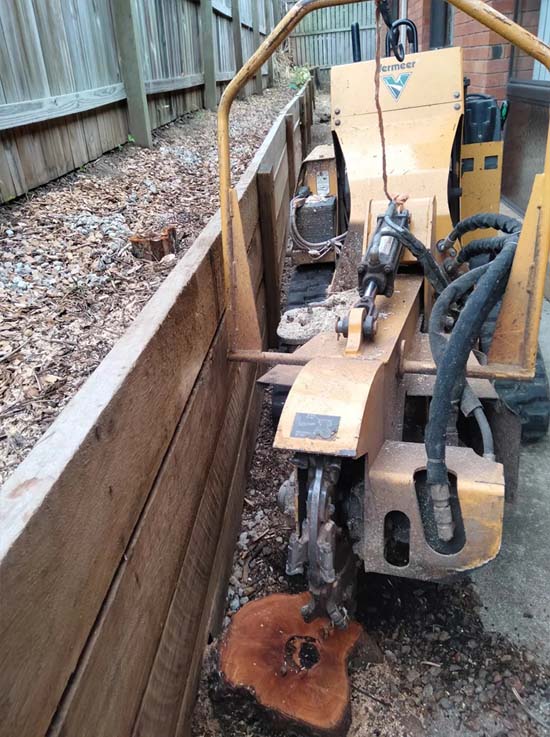 Stump Removal Near Me