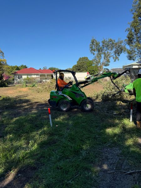 Tree Removal Near Me