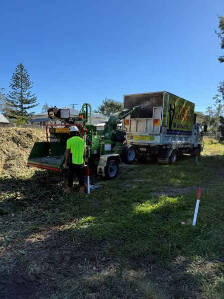 Tree Removal Near Me