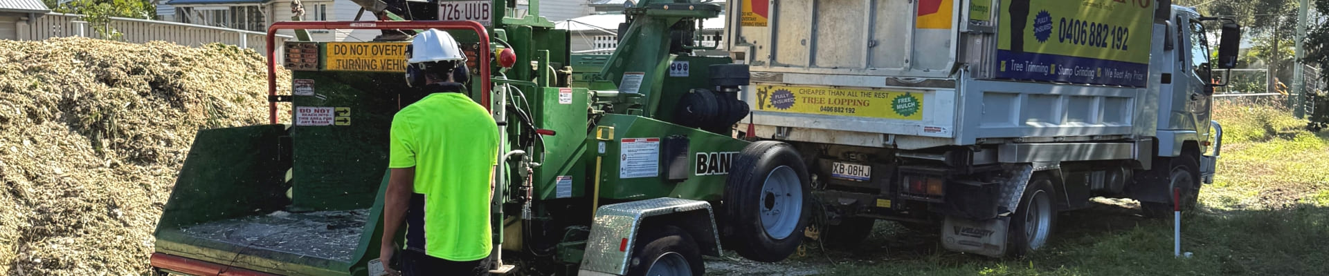 Tree Removal Near Me