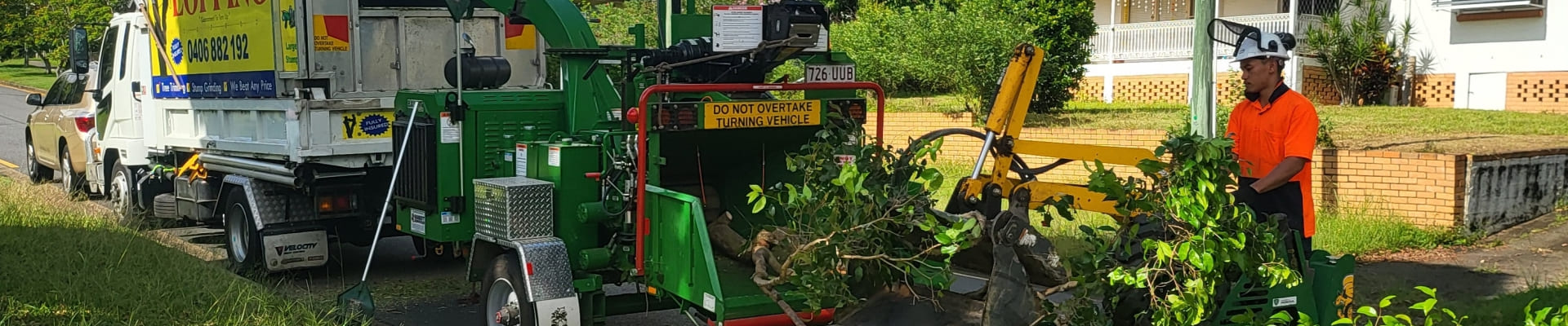 Tree Lopping Near Me