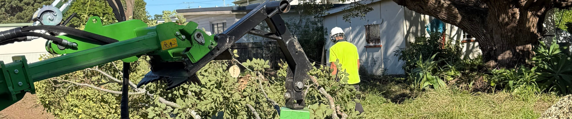 Tree Trimming Near Me